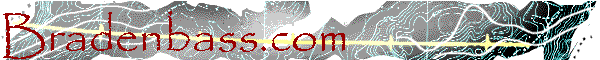 Bradenbass.com